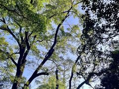 -桂林独秀峰王城景区