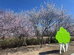 -太阳宫公园