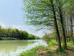 -西溪国家湿地公园