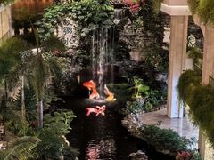 -广州白天鹅宾馆