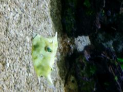 android_upload_pic-郑州海洋馆