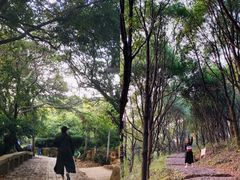 -雨花胜境