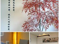 -小茶闲舍·观景商务茶馆(广州塔店)