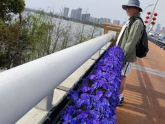 -蠡湖大桥公园