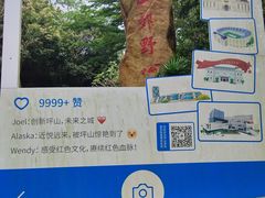 -马峦山郊野公园