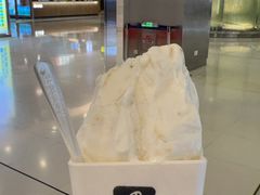 -野人先生现做冰淇淋(北京王府井东方新天地店)