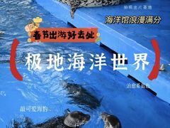 -石家庄极地海洋世界