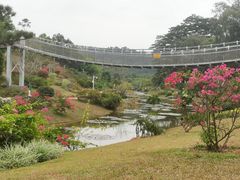 -东莞植物园