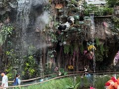 -正佳雨林生态植物园