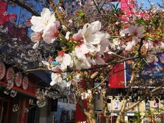 -绿地风尚天地广场