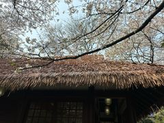 -中国茶叶博物馆(双峰馆区)