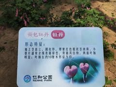 -仁和公园(顺义区)