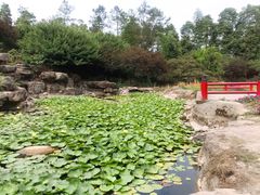 -秀丽东方