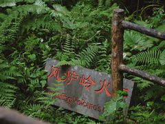 -海口火山口国家地质公园