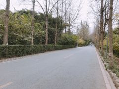 -三圣花乡旅游区