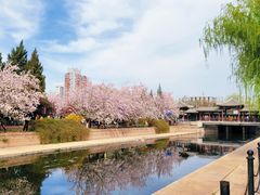 -元大都城垣遗址公园