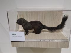 -中国湿地博物馆
