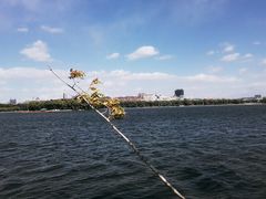 -长春市南湖公园