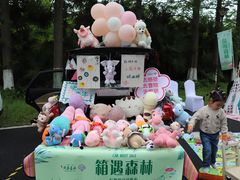 -黄海国家森林公园