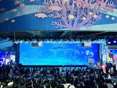 -烟台海昌鲸鲨海洋公园