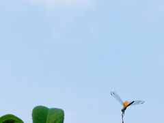 -西北湖绿化广场