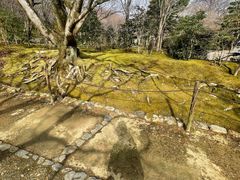 -常寂光寺