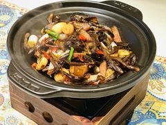 -云海肴·汽锅鸡·云南代表菜(天山百盛优客店)
