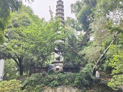 -西泠印社
