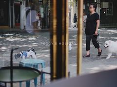 -KYO COFFEE(胶州路店)