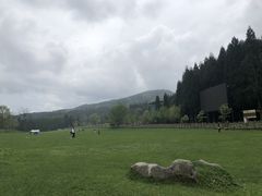 -武陵山森林公园