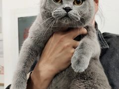 -宠福鑫康馨动物医院·骨科·眼科