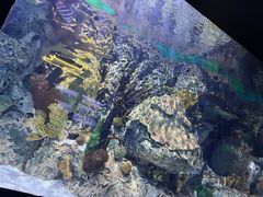-北京海洋馆