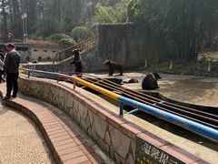 -贵州森林野生动物园