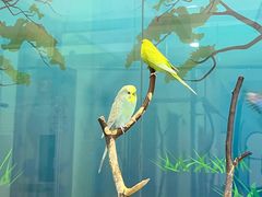 -新世界百货(顺义店)