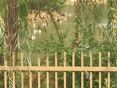 -艾溪湖湿地公园