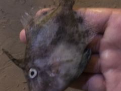 -碧桂园十里银滩