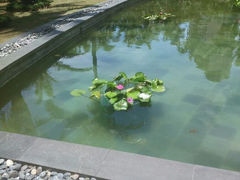 android_upload_pic-三亚湾海居铂尔曼度假酒店