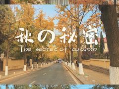 -青岛第三海水浴场