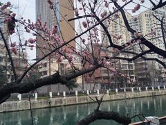 -成都市活水公园