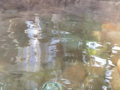 -中家鑫园温泉酒店鑫悦汤泉