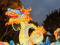 -欢乐海岸椰林沙滩-2025湾区超级灯会