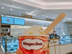 -哈根达斯(武汉天地店)