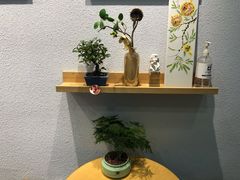 -九秋茶铺(三里屯店)