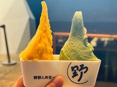 -野人牧坊Gelato(天津南开大悦城店)