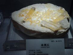 -湖南省地质博物馆