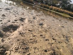 -艾溪湖湿地公园