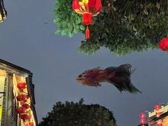 -三坊七巷历史文化街区