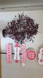 -唐溪香舍美容养生会馆