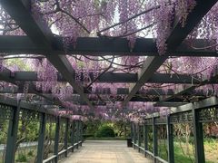 -北京市劳动人民文化宫(太庙)