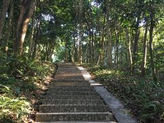 -广州市帽峰山景区